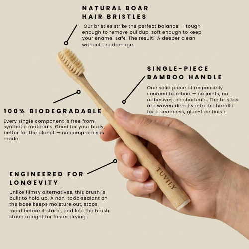 Boar Bristle Toothbrush